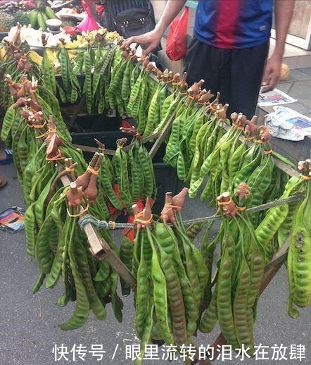 哪种|水果界的“李佳琦”,吃遍3000多种水果,哪种最好吃