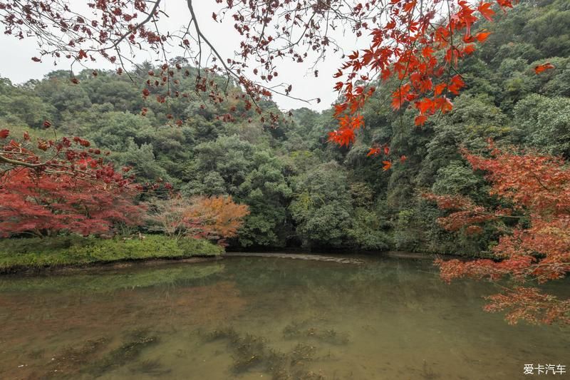  风光|畅游杭州杨梅岭，体验新颖的农家生活