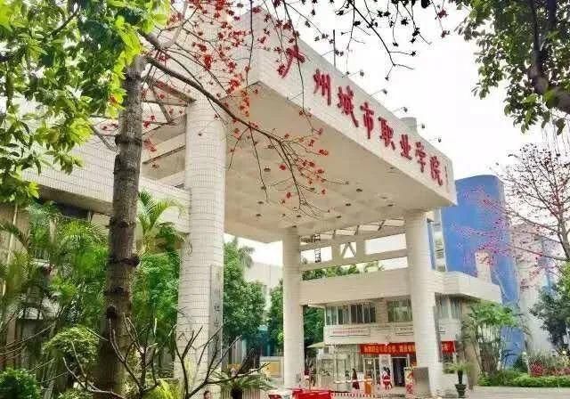 高考录取最|广东最容易被混淆的20所大学!你能认出几所?