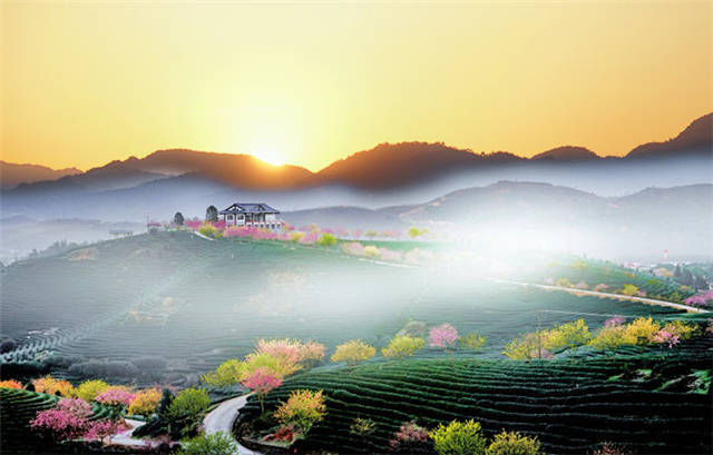  再不去|美翻！2019年第一波“美色”已上线，再不去就收费了！