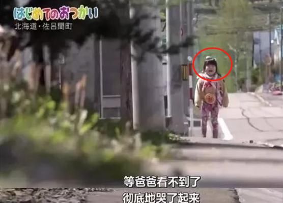  真相|日本火了29年的节目揭露教育真相：想让孩子独立，父母先学会绝情