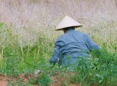  坐塌|综艺搞笑片段：何洛洛坐塌蛋糕周深认错鱼篓，他被当萝卜？