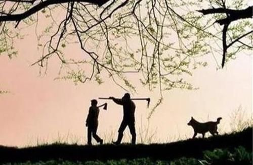 曾仕强|曾仕强：为什么农村的人要比大多数知识分子更懂道理？