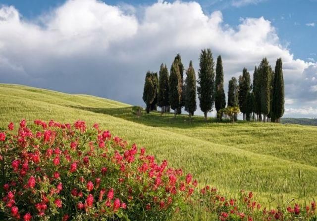  频发|人生迎春天！8月17号起好运频发，3生肖事业登高峰，财运一路升！