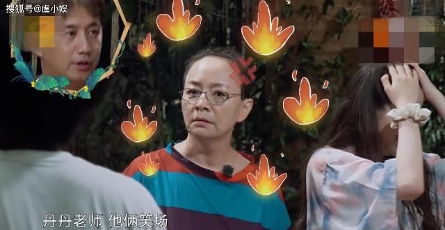  盛宴|《向往的生活4》收官，“心火烧”再现江湖，盛宴和故事永不缺席