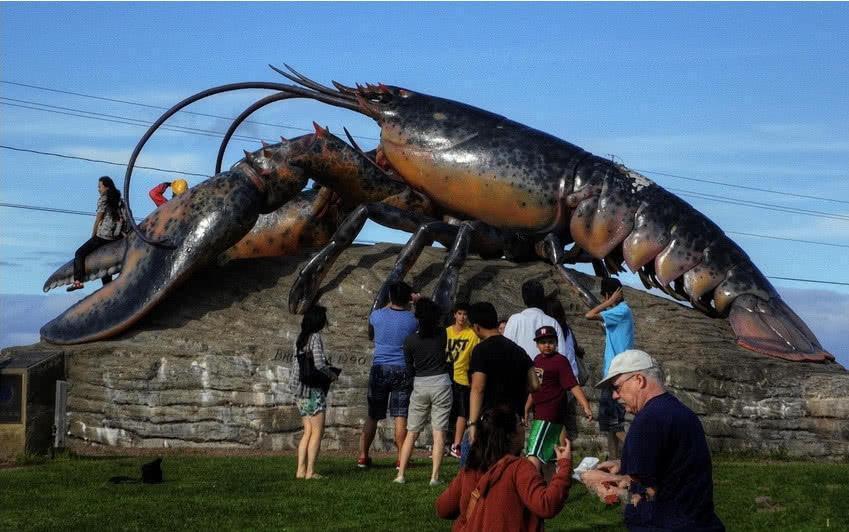 饕们|这只龙虾活了134年,受国家“特赦免死”,老饕们干着急