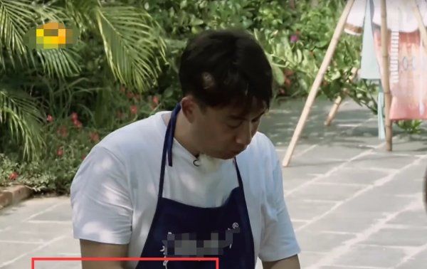  黄磊|《向往的生活》最金贵的嘉宾, 黄磊不敢让她干活, 因为赔不起!