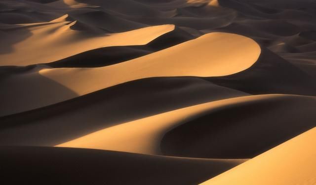  计划|来不了新疆，没关系，我们还有大西北！| 沙丁鱼计划