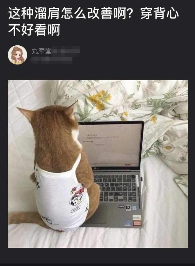 承担|如果100万让你跪下,你会承担吗?