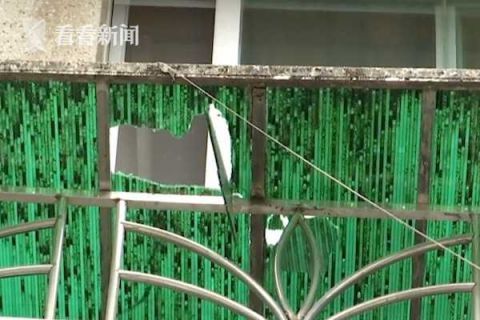  活物|雨棚被砸出大窟窿!一看视频业主怒了:是个＂活物＂