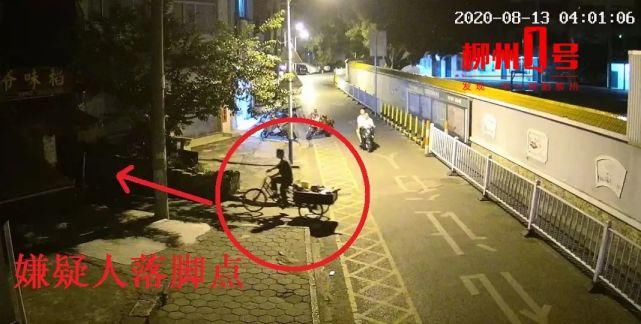 鸡笼|青云菜市一鸡笼凌晨少了12只鸡!公共视频拍下…