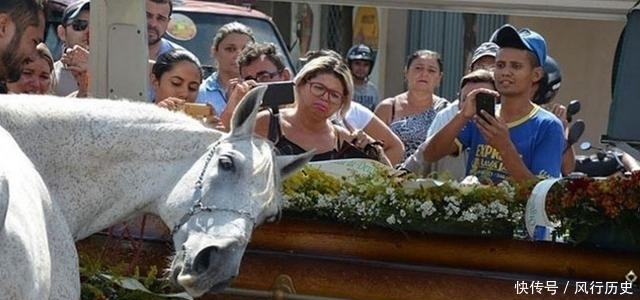 送行|主人离世,老马狂奔数公里送行,趴在棺木上不肯离去,让人落泪