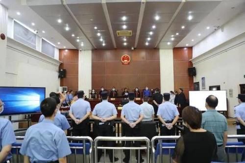 许某某|非法猎捕23只獐子!判刑+赔偿野生动物资源损失
