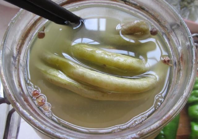  下饭|三伏天没胃口，豆角这样多1步，酸辣开胃特下饭，米饭都多吃2碗