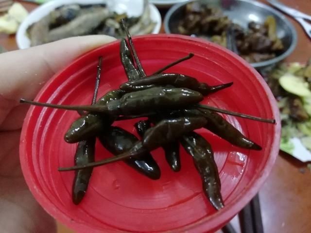 顿饭|终于吃上一顿饱肉了，这顿饭，3菜1汤，才花了36元，怎么做到的？