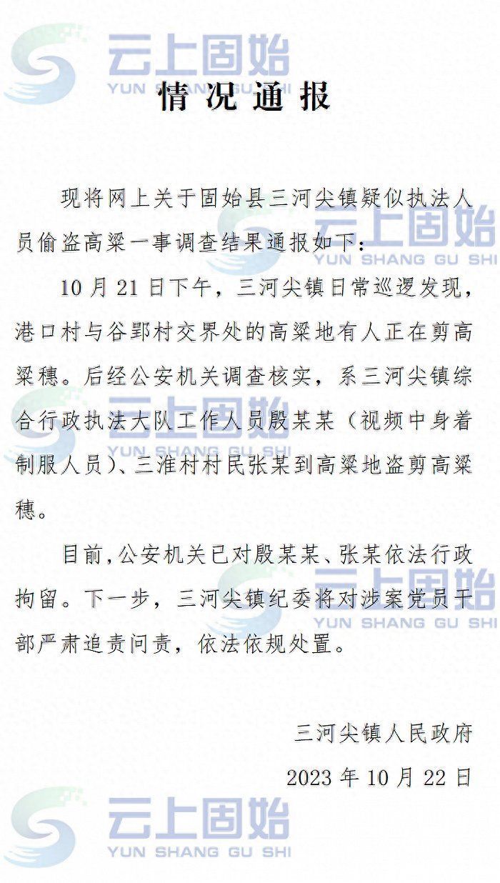 河南固始通报“执法人员带人偷高粱”：两人被行拘