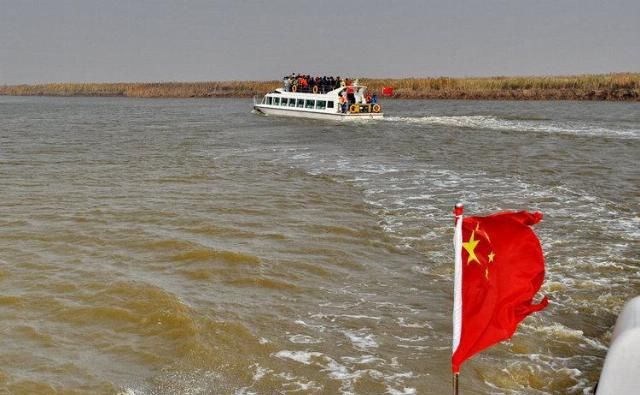  造纸|世界最大芦苇荡在中国，面积长度超百公里，可造纸可观赏