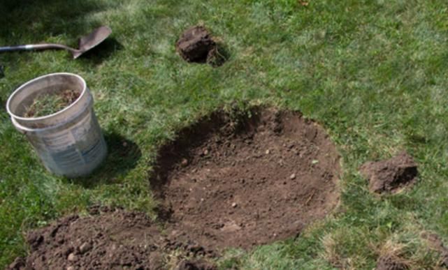  当地警方|一家四口一夜之间离奇死在家中各处，院子里还有一个新挖的土坑