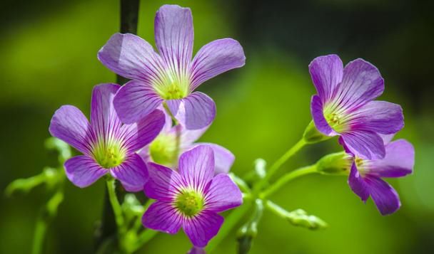 祥兆|身上出现这三个祥兆，说明你要开始走上坡路，赚大钱的机会来了