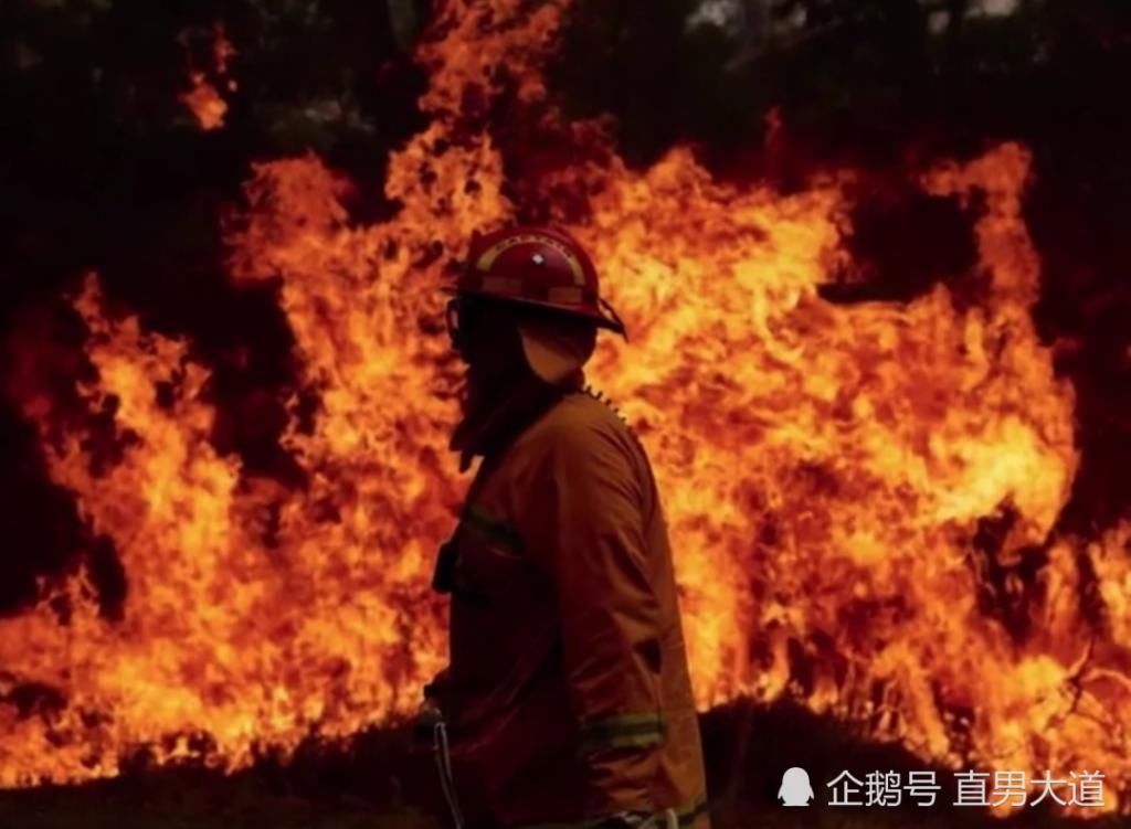 男子|男子听信纸箱有病毒，纵火烧掉自家超市仓库，被判16个月监禁