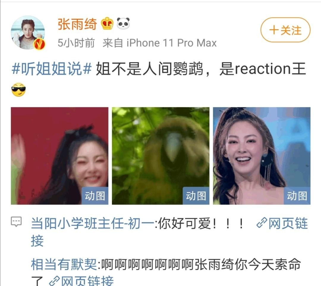 宁静|《浪姐》首场淘汰名单!黄圣依“哭”上热搜,宁静大型真香第一人