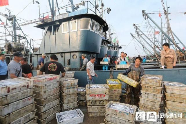 每斤|海鲜价格曝光！记者探访海鲜市场！开海后，螃蟹竟……