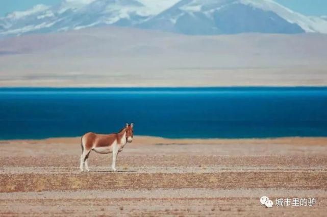  长白山|三伏暑热天，让我带你去这些只有25°的地方纳凉吧！
