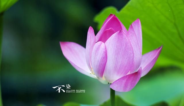 富贵|八月大财躲不掉,3大生肖事业红红火火,富贵又旺夫