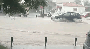  搞笑|搞笑GIF：大爷你觉得它俩谁会赢？