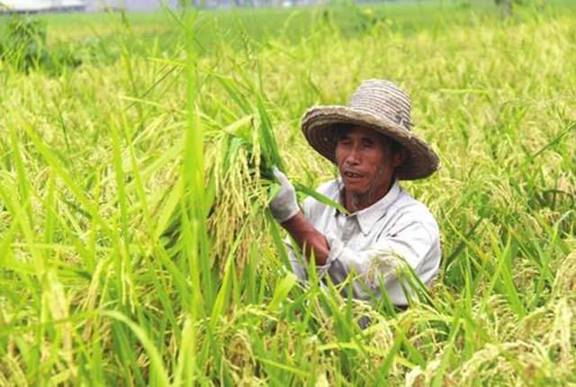  划算|新农合费用又涨了，要交吗，其实越交越划算？