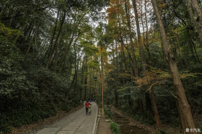  风光|畅游杭州杨梅岭，体验新颖的农家生活