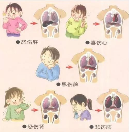  中医|中医所讲七情波动，对五脏影响有多严重？我们生活中应如何调整？