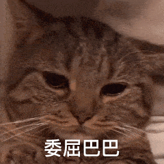  待见|《姐姐》丁当队长被撸掉，实力派真的不受待见么？