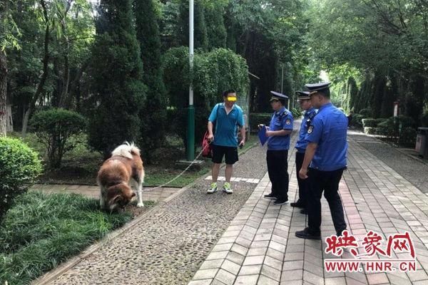 市民|汝州市城市管理局开展不文明养犬行为集中整治行动