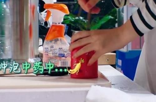  录制|赵丽颖突然缺席中餐厅录制，当知道真实原因后，原谅你的不告而别