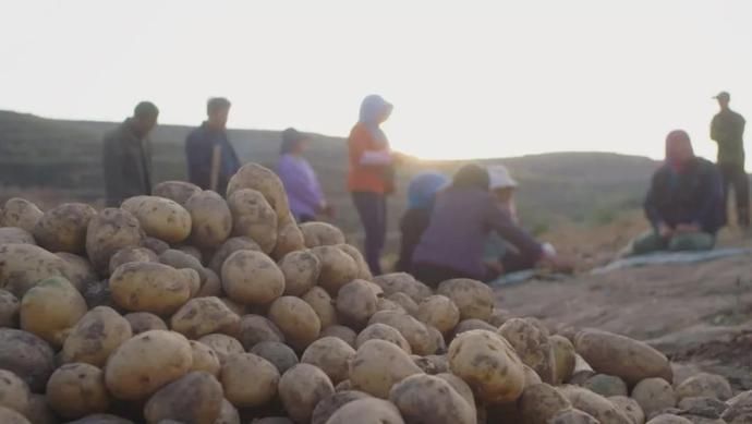 西北|蹲个西北人:洋芋擦擦夹夹格格颗颗到底是啥?