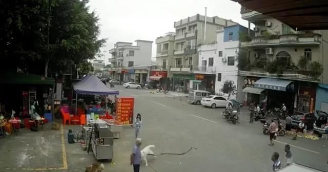  身亡|老人被狗绳绊倒身亡 家属呼吁一事