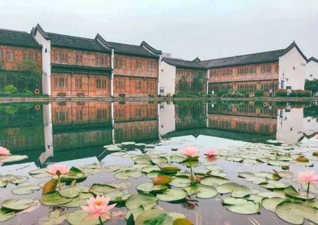  未来|晚上！未来科技城这些人偷偷干这事……