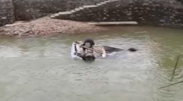  战士|95后战士2分钟连救坠河4人：这是我该干的