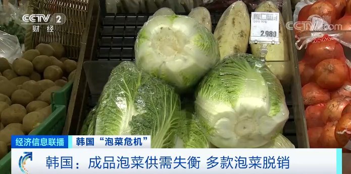 泡菜市场|1棵白菜，79元！韩国人放弃腌泡菜了？进口泡菜九成来自中国→