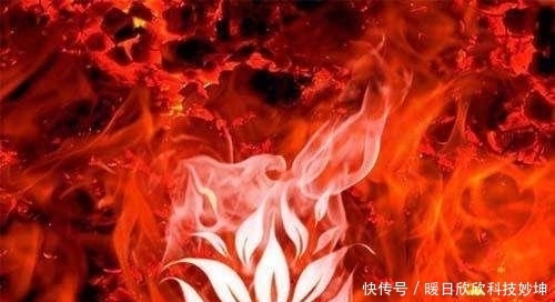 所容|四朵远古神莲，第三为无天黑莲，第一不为天地所容化成三教至宝！
