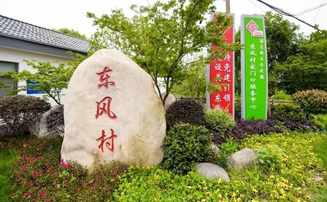  示范村|美丽乡村示范村丨浦东东风村：“东风”徐来 让画卷般的优美生态造福百姓