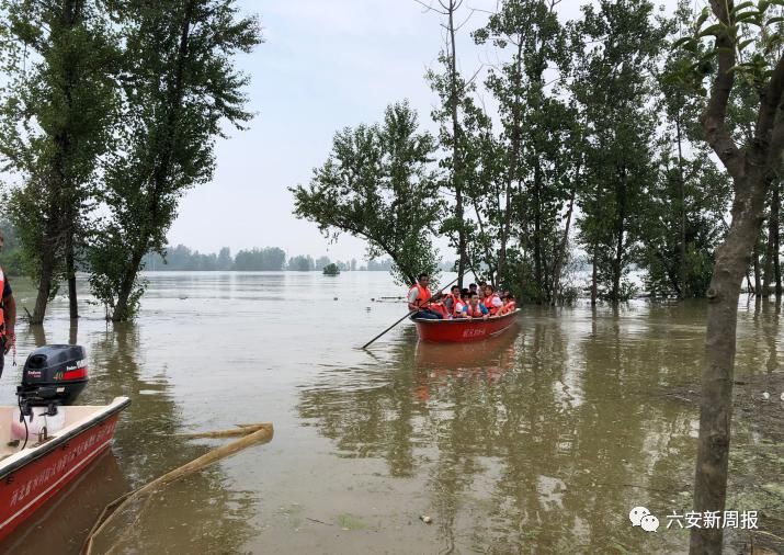  六安人|固镇！最新消息…