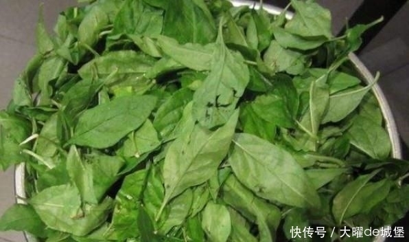  健康|它是天然的“护肝菜”，每天炒一盘，排出毒素，肝脏越来越健康