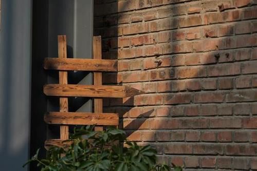  MACRO|“经典”的长焦微距 适马105mm F2.8 DG DN MACRO | Art评测