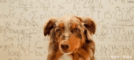  分手|开心一刻: 叔叔, 我和你儿子分手两个月了, 你别再送我东西!