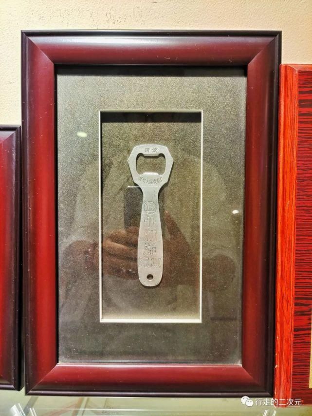 快乐|北冰洋回来了,你的快乐回来了吗?