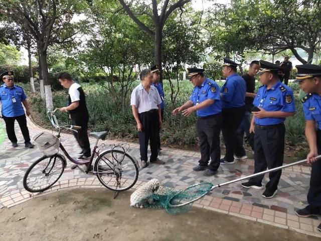  养犬|文明养犬 让我们的城市更美好