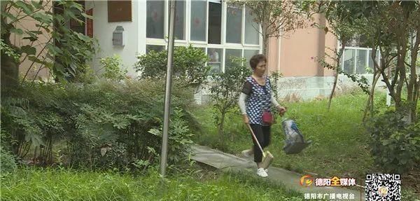  细节|创城进行时｜旌湖社区：在完善细节中推进“创城”工作