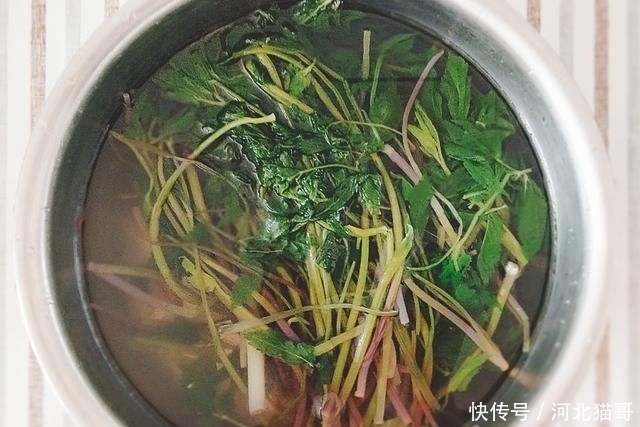 美味|「水芹菜馅饺子」品野菜美味,尝初夏清香